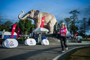 BIB: 
                            <button type="button" onclick="openModal(26541672)" class="btn btn-primary btn-sm float-right btn-popup" data-toggle="modal" data-target=".modal-high-quality">
                        <i class="fas fa-shopping-cart"></i> Add to Cart
                    </button>
                                            <button type="button" onclick="isThisMe(26541672, true)" class="btn btn-success btn-sm float-right btn-popup btn-isme hidden" data-toggle="tooltip" data-placement="bottom" title="นี่คือรูปของคุณใช่ไหม คลิกที่นี่เพื่อเอาเข้าอัลบั้ม">
                        <i class="fas fa-plus"></i> Add to album
                    </button>
                    <button type="button" onclick="isThisMe(26541672, false)" class="btn btn-warning btn-sm float-right btn-popup btn-isnotme hidden">
                        <i class="fas fa-ban"></i> Remove from album
                    </button>